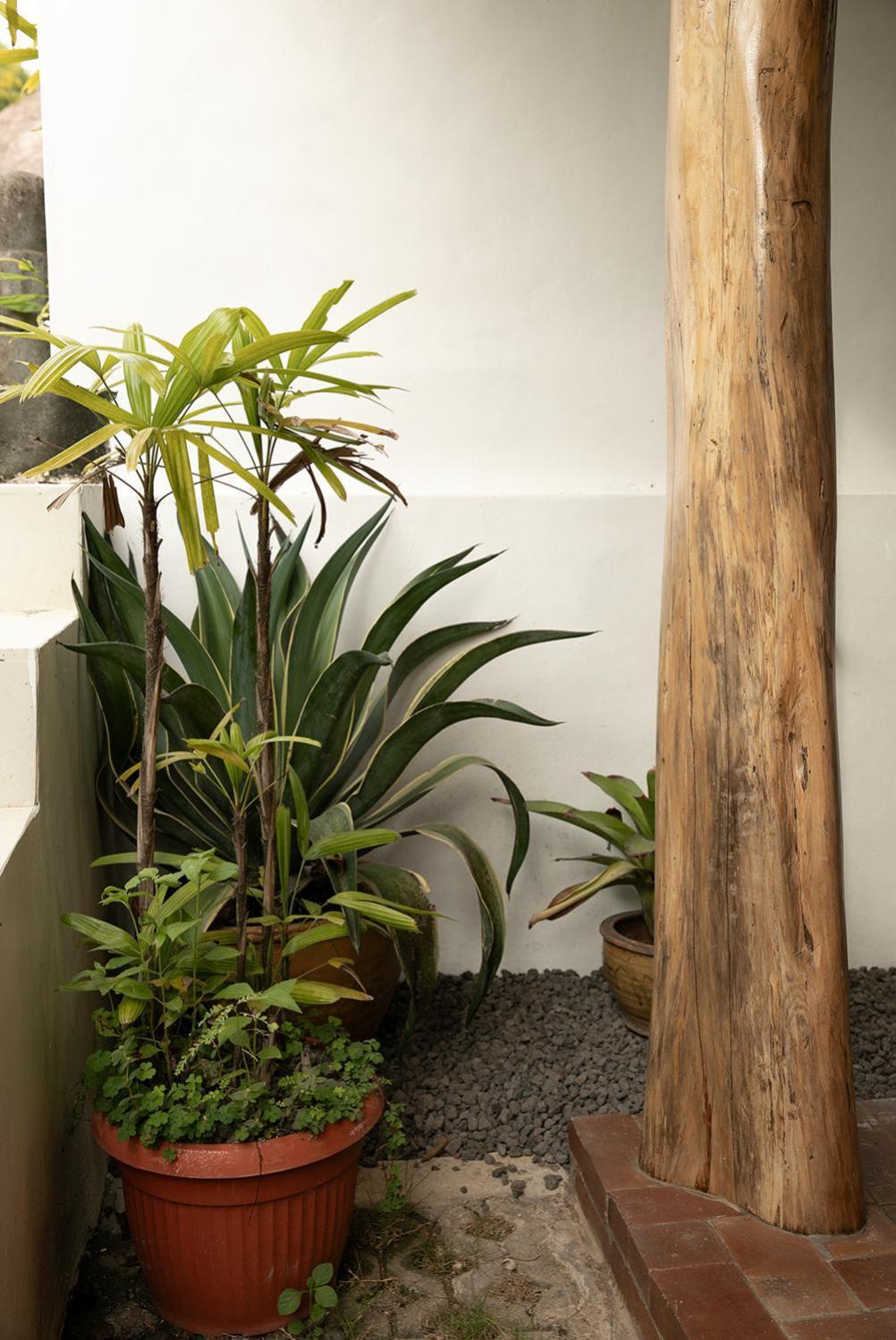 La Kreyiol Bed & Breakfast Uluwatu  Exterior photo